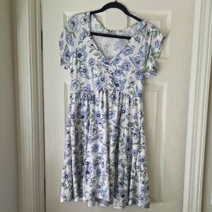 No Boundaries Blue and White Flutter Sleeve Sundress